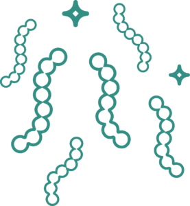 Stretococcus Faecalis: a Probiotic found in Zaocare Preprobiotic Orosoluble sachet