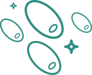Saccharomyces Boulardii: a Probiotic strain found in zaocare preprobiotic orosoluble sachet