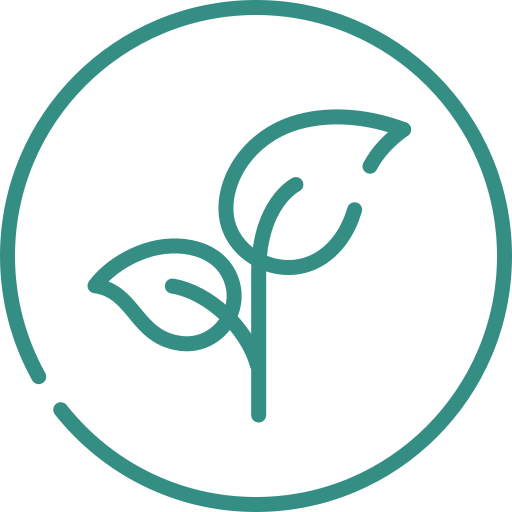 Zaocare products use all standard and high quality plant based ingredients
